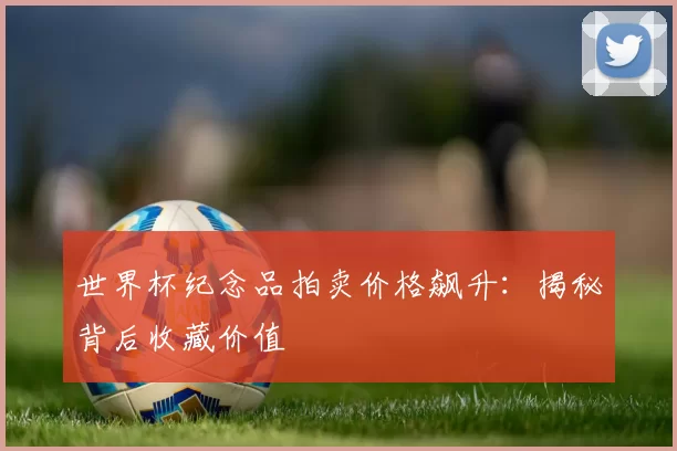 世界杯纪念品拍卖价格飙升：揭秘背后收藏价值