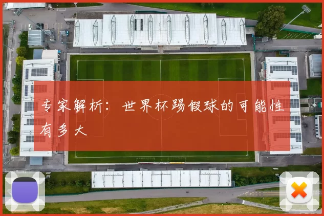 专家解析:世界杯踢假球的可能性有多大