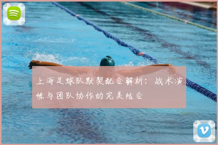 上海足球队默契配合解析：战术演练与团队协作的完美结合