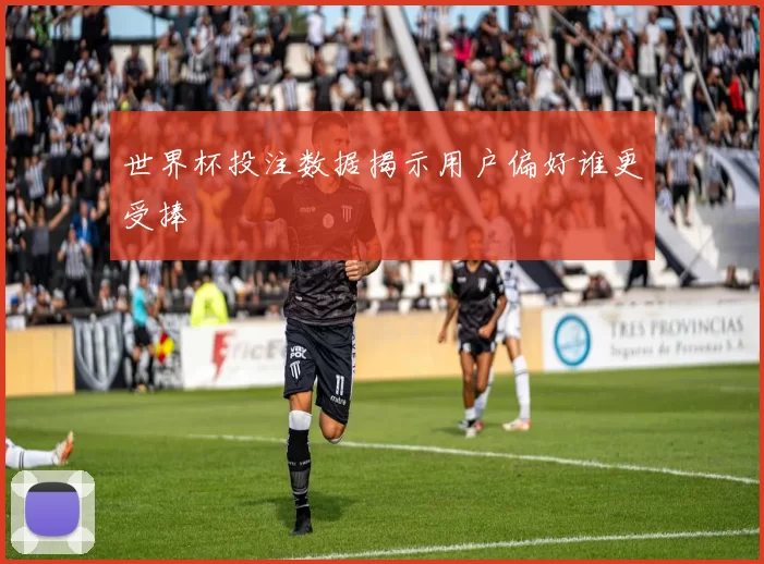 世界杯投注数据揭示用户偏好谁更受捧