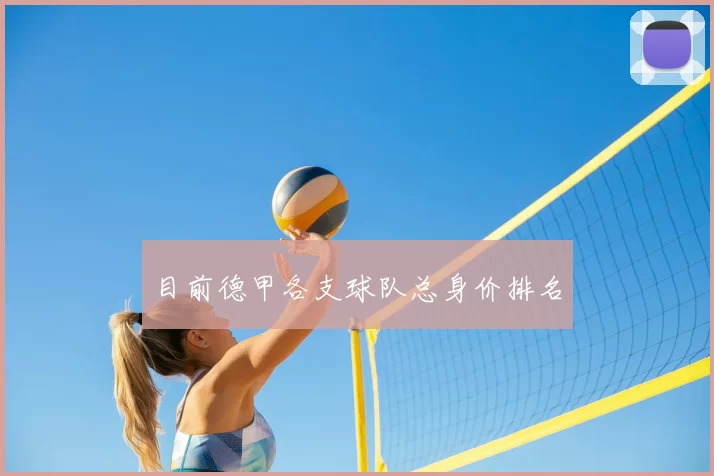 目前德甲各支球队总身价排名