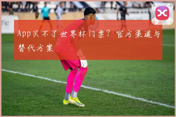 App买不了世界杯门票？官方渠道与替代方案