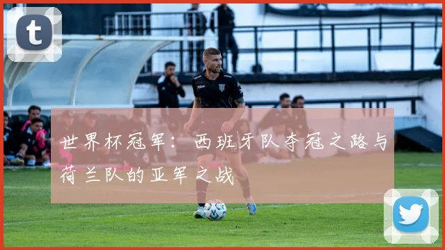 世界杯冠军:西班牙队夺冠之路与荷兰队的亚军之战