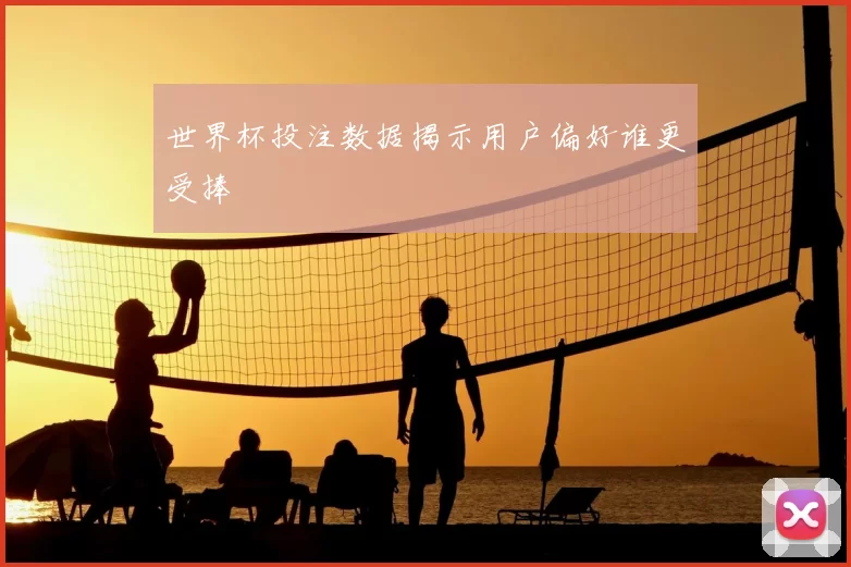 世界杯投注数据揭示用户偏好谁更受捧