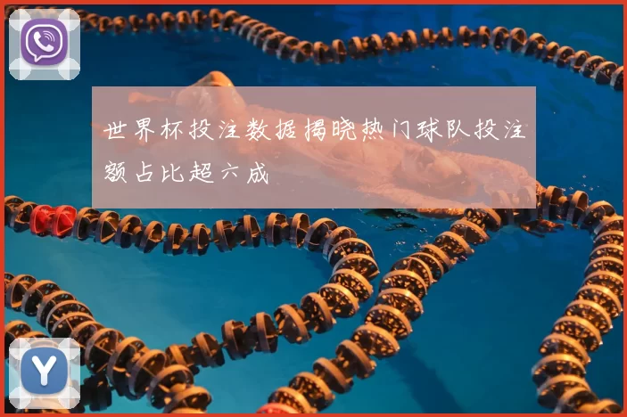 世界杯投注数据揭晓热门球队投注额占比超六成