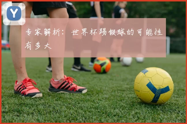 专家解析:世界杯踢假球的可能性有多大