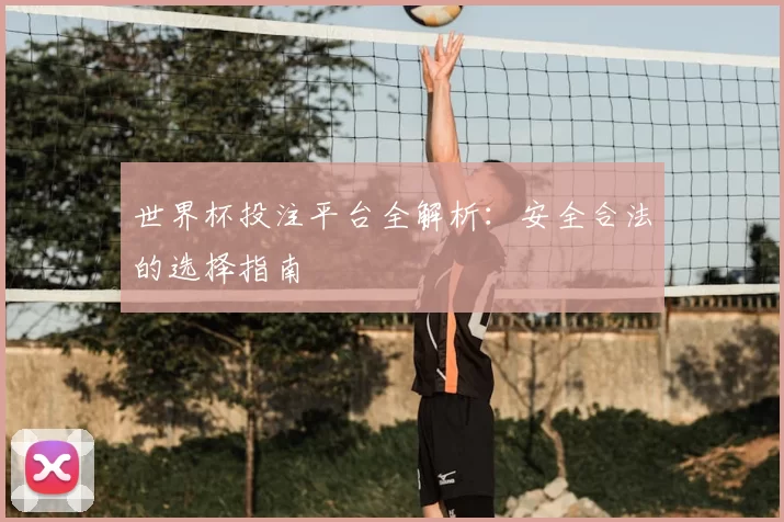 世界杯投注平台全解析:安全合法的选择指南