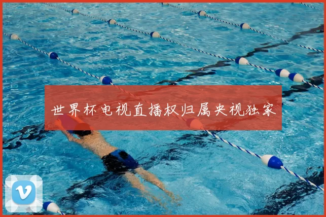 世界杯电视直播权归属央视独家
