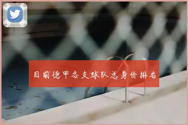 目前德甲各支球队总身价排名