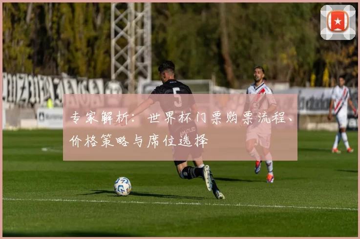专家解析：世界杯门票购票流程、价格策略与席位选择