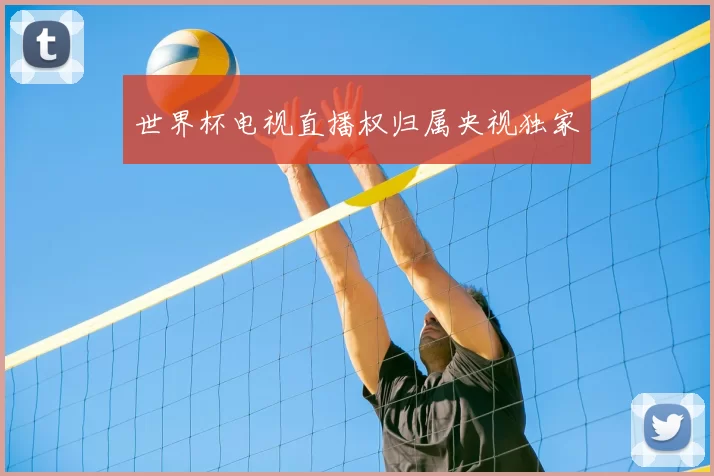 世界杯电视直播权归属央视独家